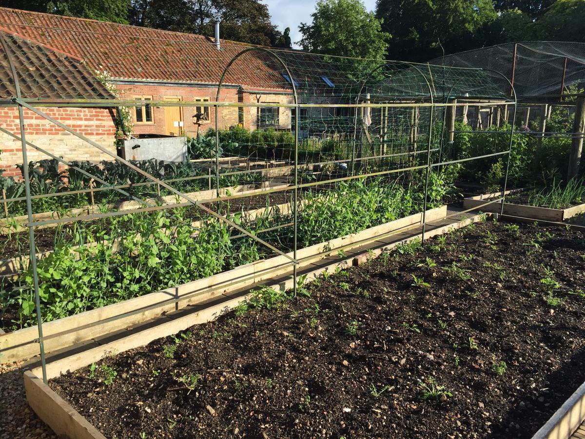 Chippenham Park Garden Rooms Εξωτερικό φωτογραφία